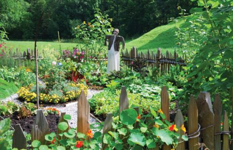Attract Pollinators and Other Vegetable Garden Ideas Image